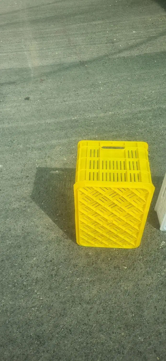 استخدام کارگر ساده در کارگاه تزریق پلاستیک|استخدام صنعتی، فنی، مهندسی|مشهد, شهرک صنعتی توس|دیوار