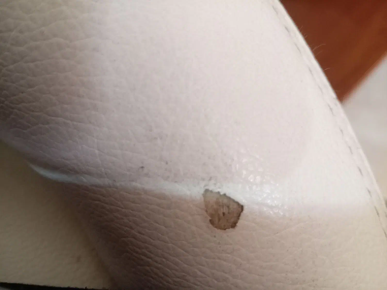 صندلی اوپن|میز و صندلی غذاخوری|پرند, فاز ۴|دیوار