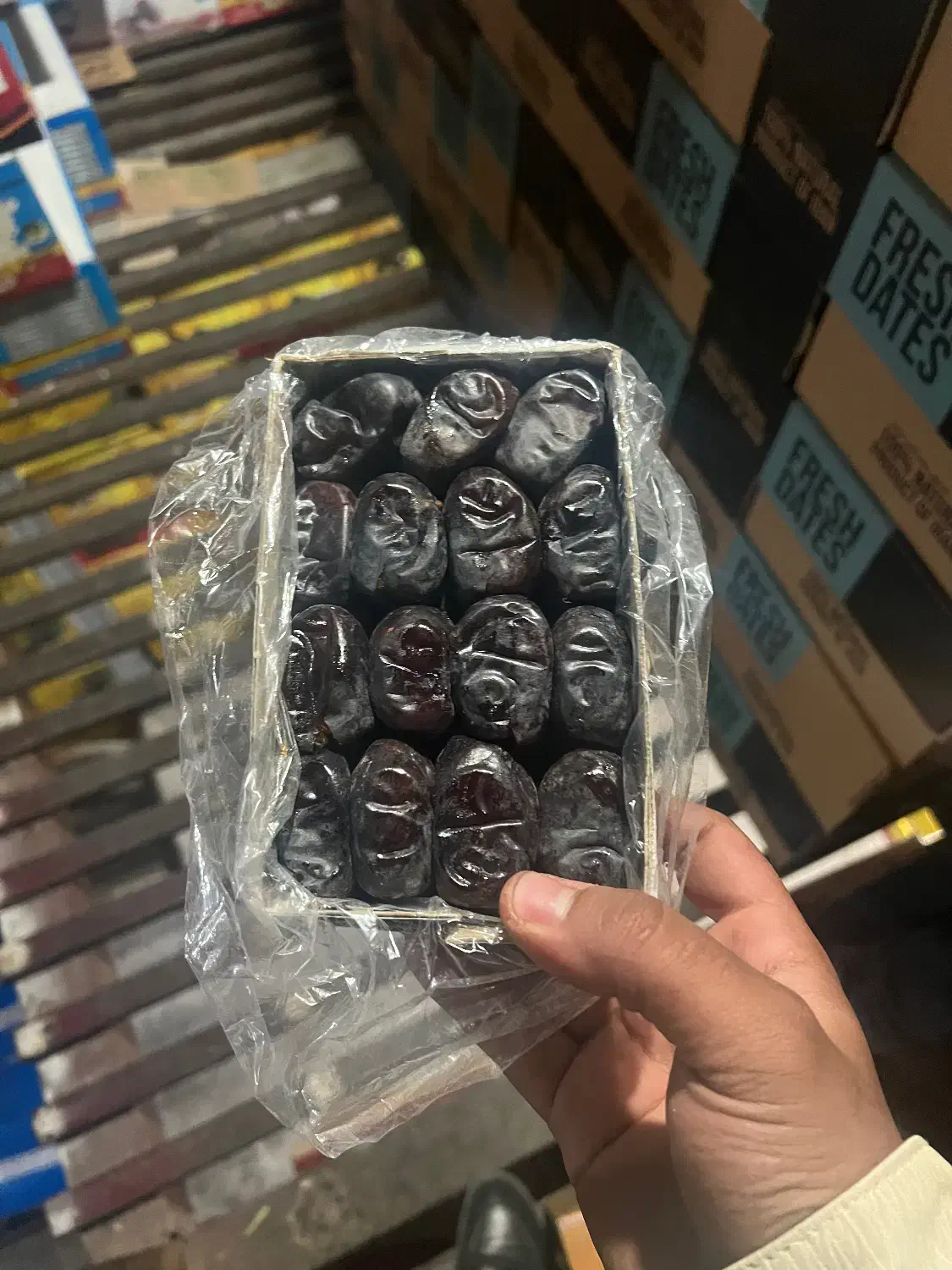 خرید و‌فروش خرما مضافتی|عمده‌فروشی|بم, |دیوار