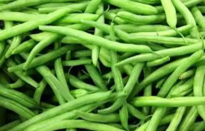 لوبیا سبز تاز چین ترد و تمیز|خوردنی و آشامیدنی|قائم‌شهر, |دیوار