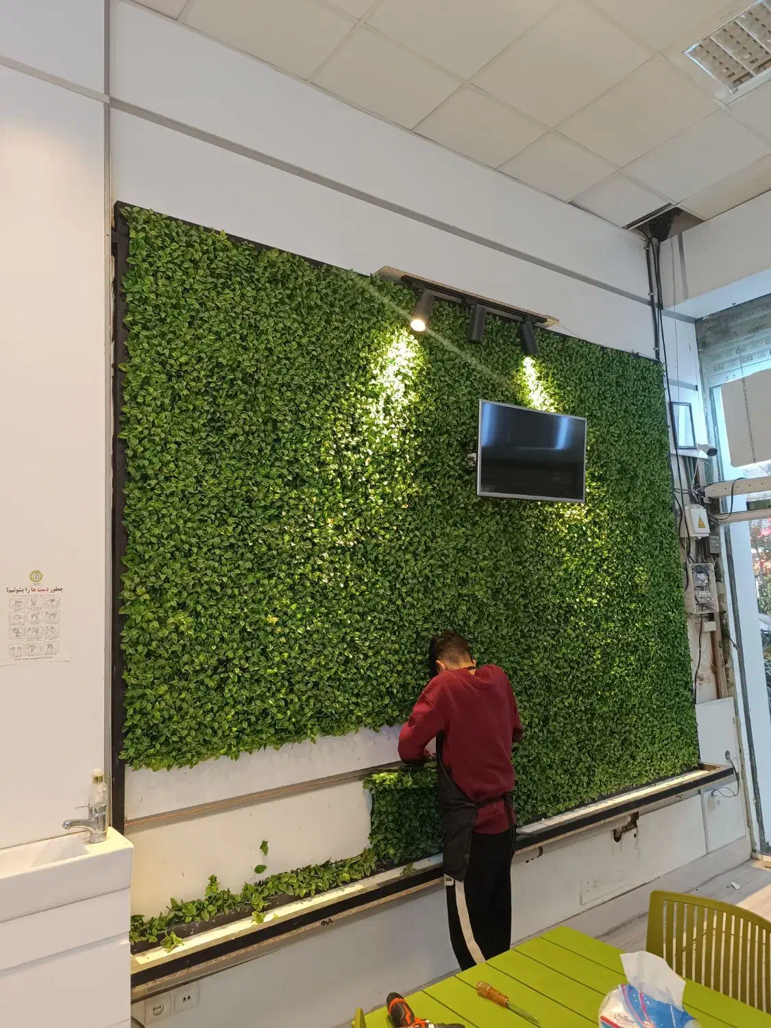 گرین وال (دیوار سبز)فروشی|گل مصنوعی|مشهد, ولیعصر (شهرک غرب)|دیوار