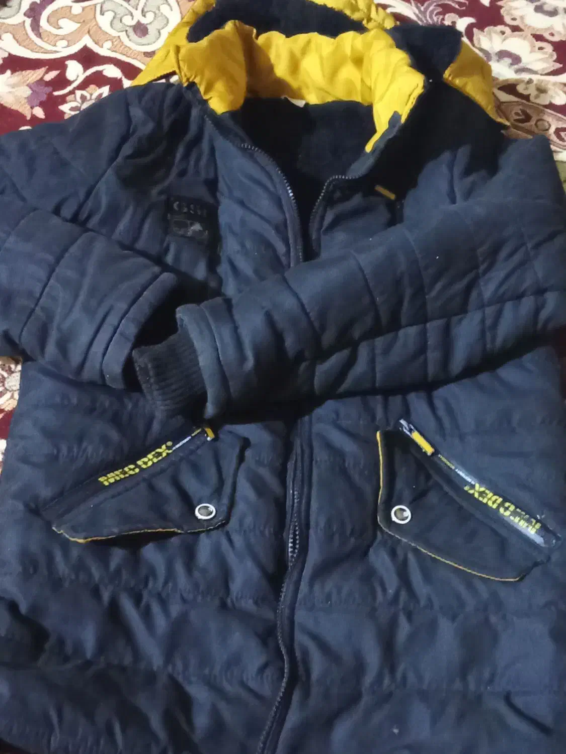 فروش کابشن زمستانه دولایه|لباس|شیراز, جوادیه|دیوار