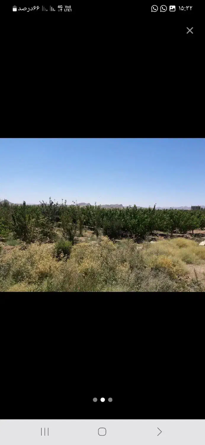 فروش زمین کشاورزی ۸هزارمتری مزرعه مورچه خورت|فروش دفتر صنعتی، کشاورزی، تجاری|شاهین‌شهر, مورچه خورت|دیوار