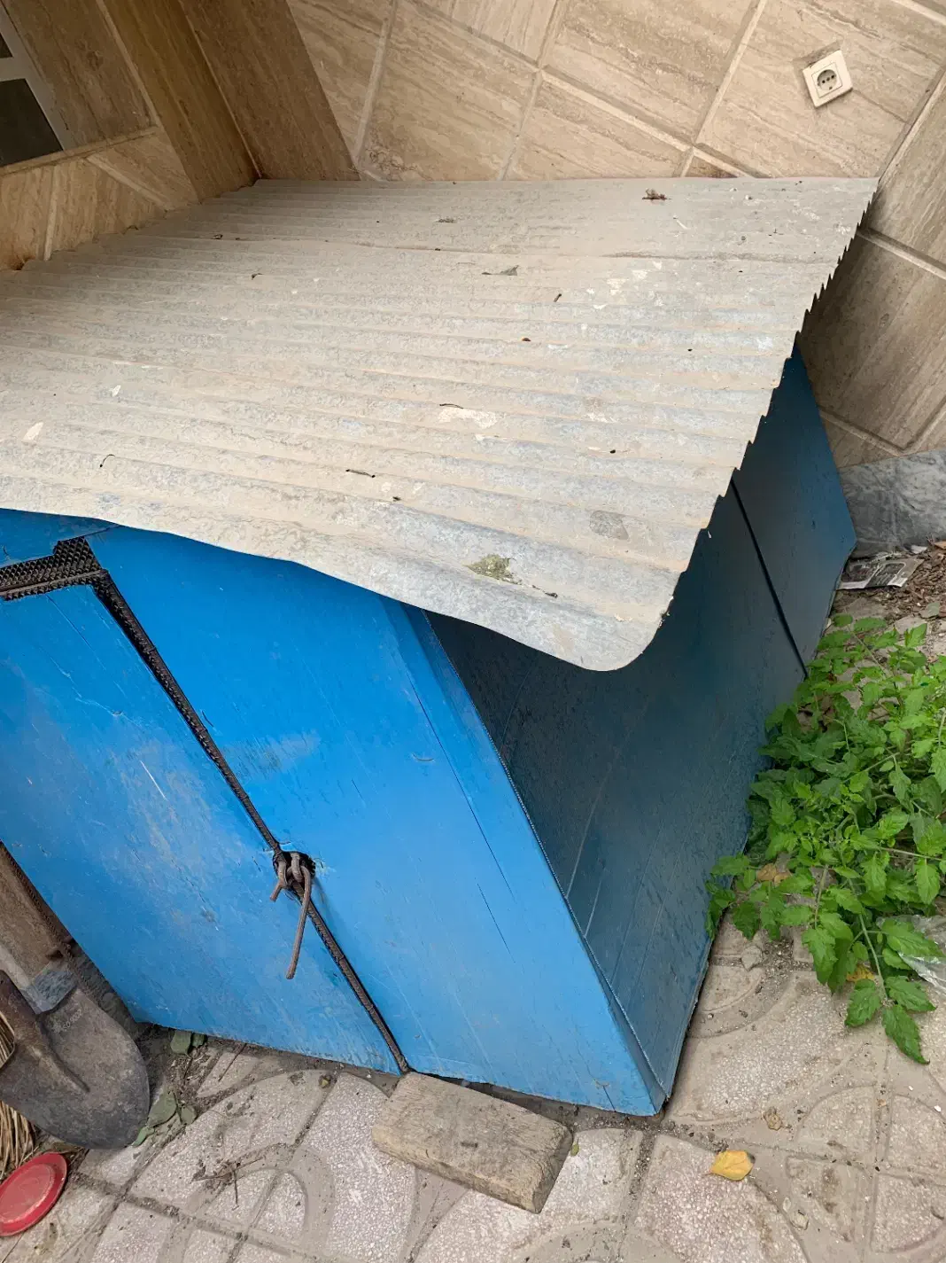 لانه مرغ و بوقلمون با میل کرد ساخته شده محکم|حیوانات مزرعه|بروجرد, |دیوار