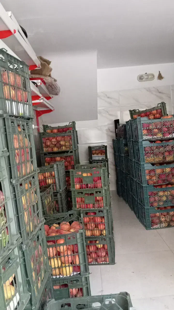 سیب تاره شهرستان ابدار خوش مزه|خوردنی و آشامیدنی|قم, سید معصوم|دیوار