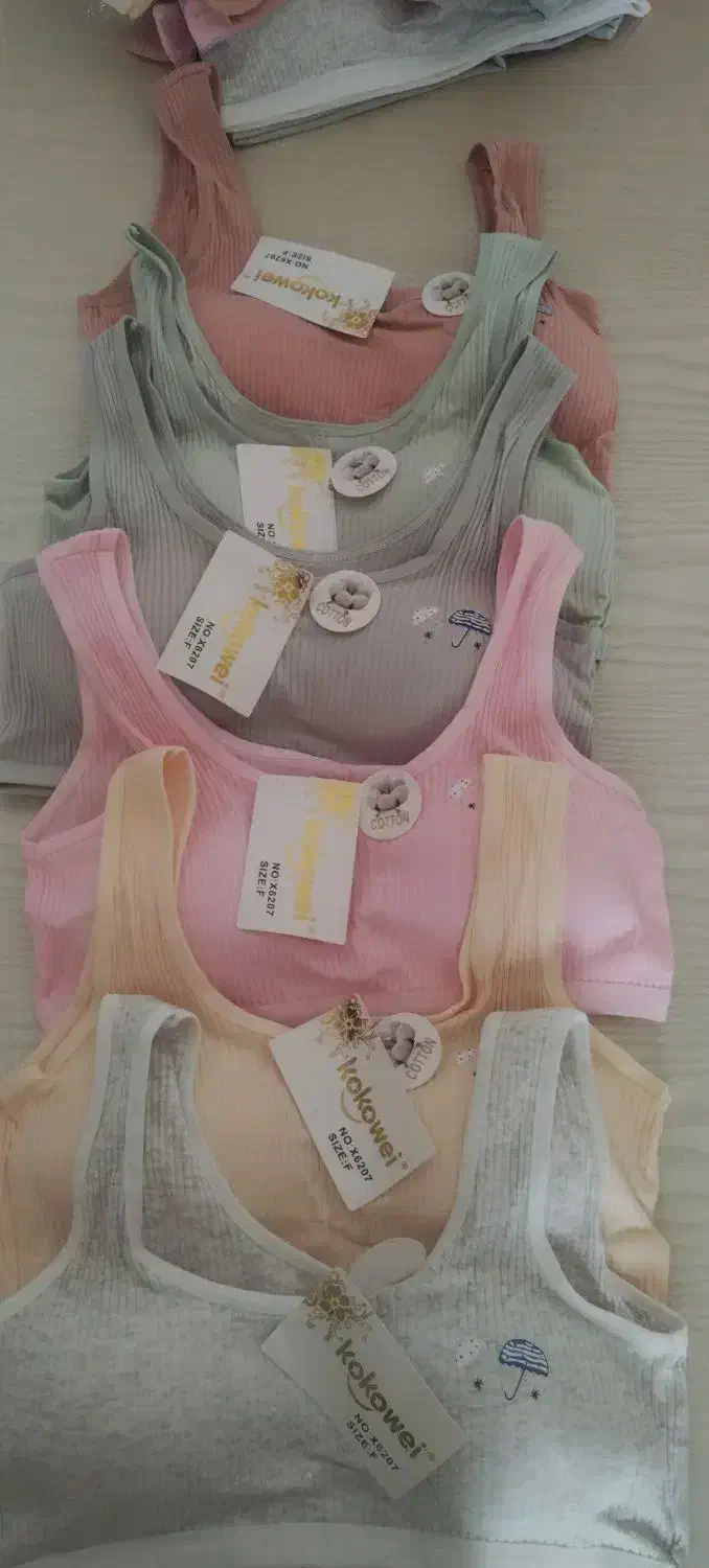 لباس زیر|لباس|زنجان, |دیوار