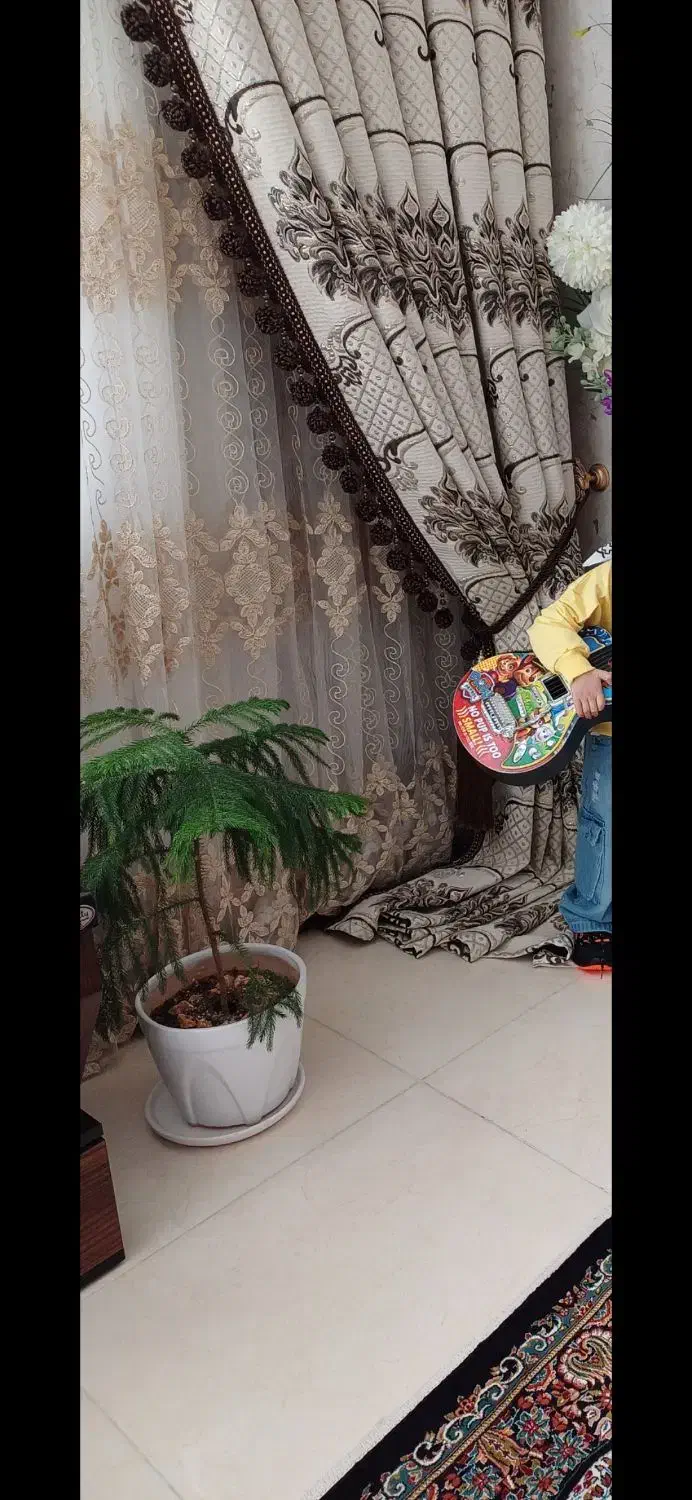 پرده|پرده، رانر، رومیزی|سهند, |دیوار