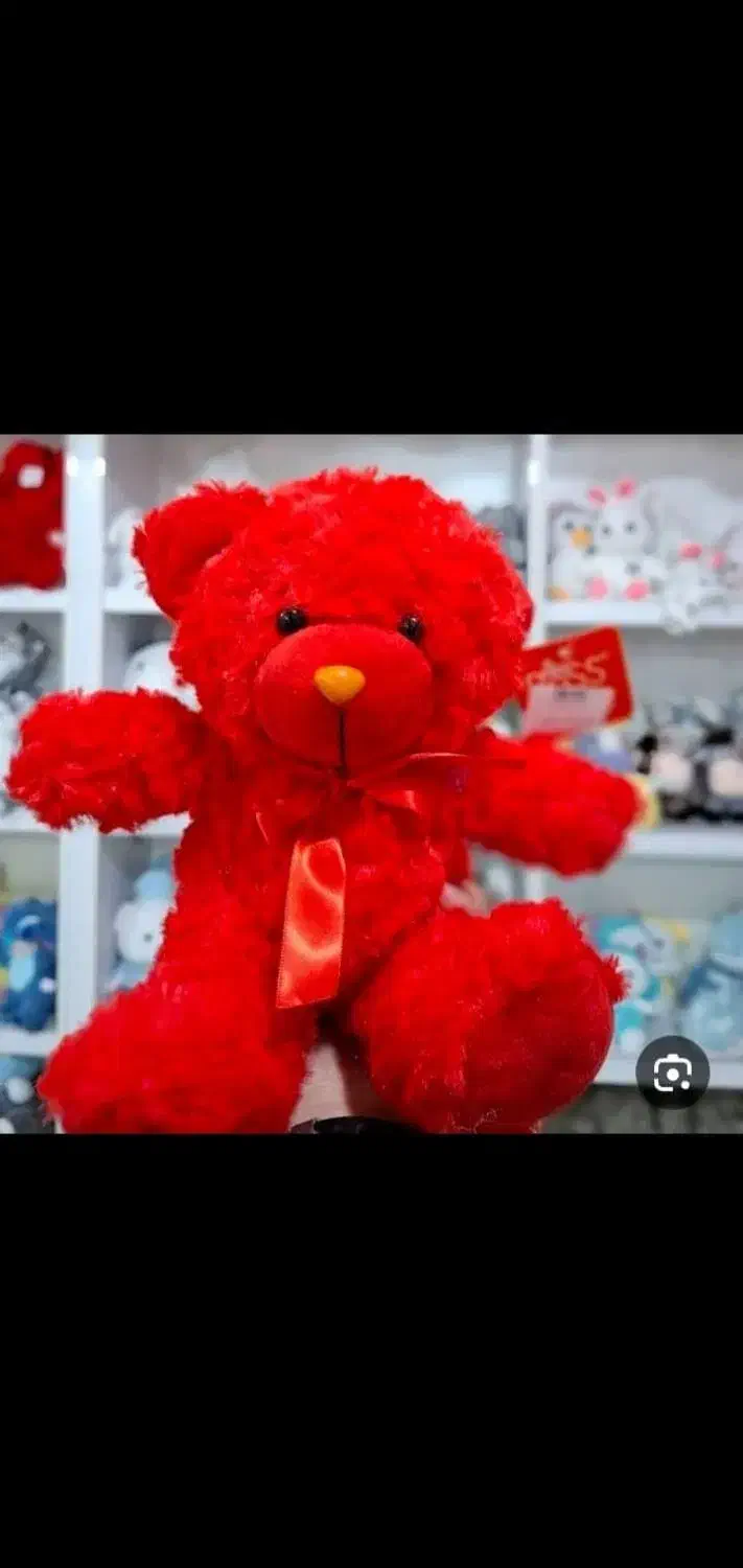 عروسک خرس|اسباب‌بازی بچه|کازرون, |دیوار