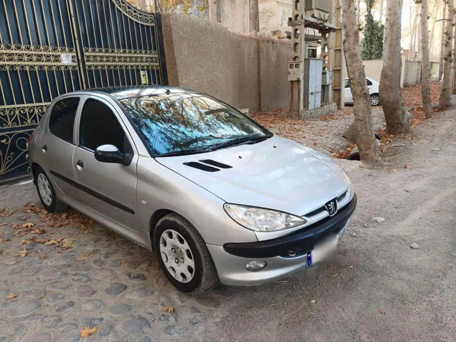 ۲۰۶ رویایی در حد|خودرو سواری و وانت|کرج, گلستان|دیوار