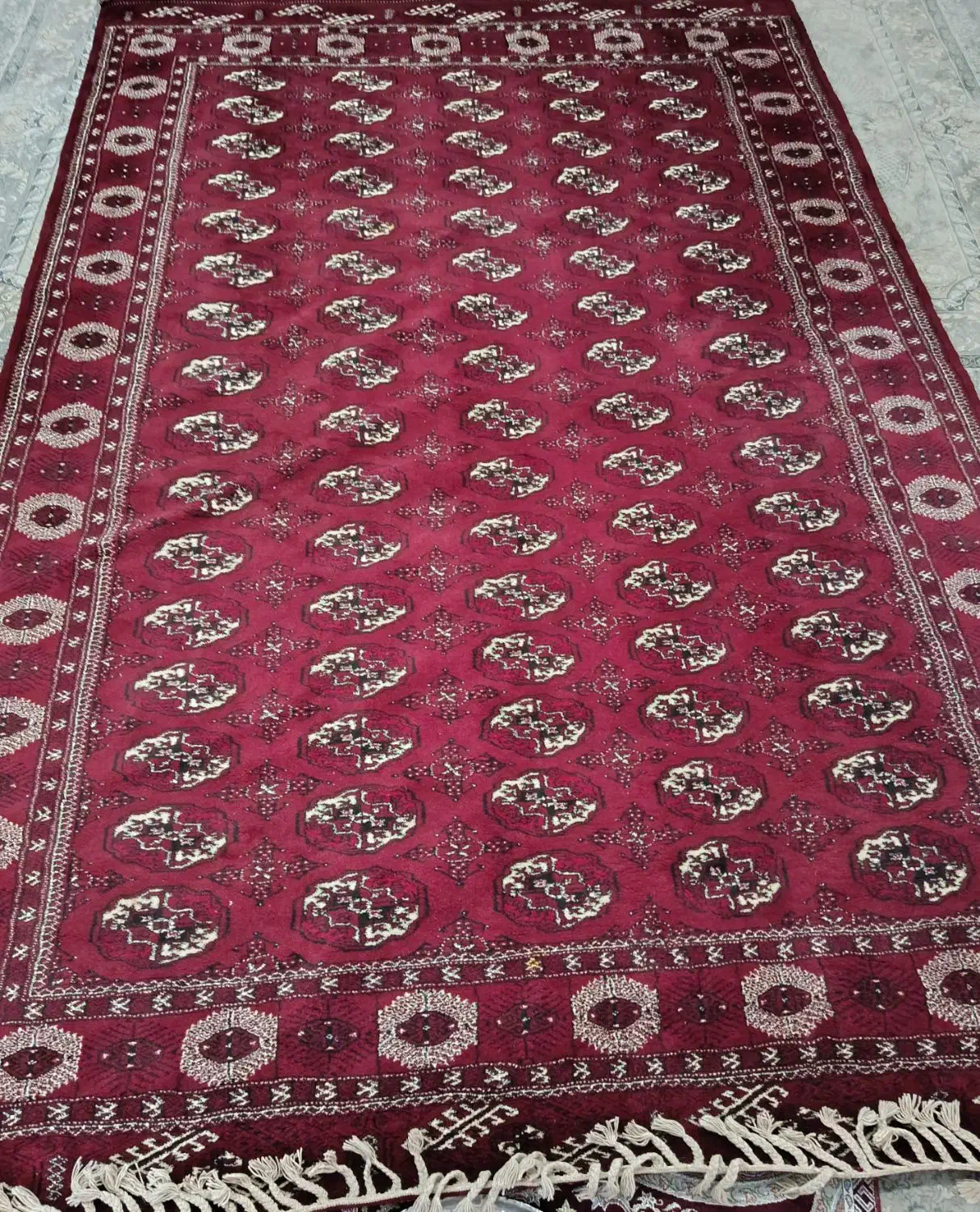 فرش دستبافت 10 متری|فرش|گرگان, |دیوار