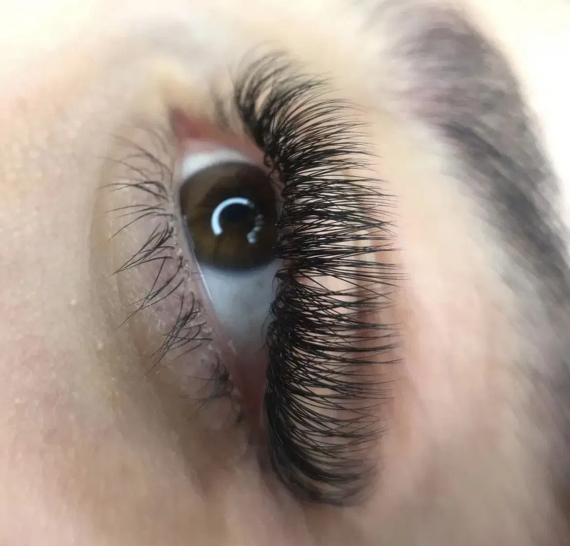 اکستنشن مژه تخصصی|خدمات آرایشگری و زیبایی|مشهد, دانشجو|دیوار