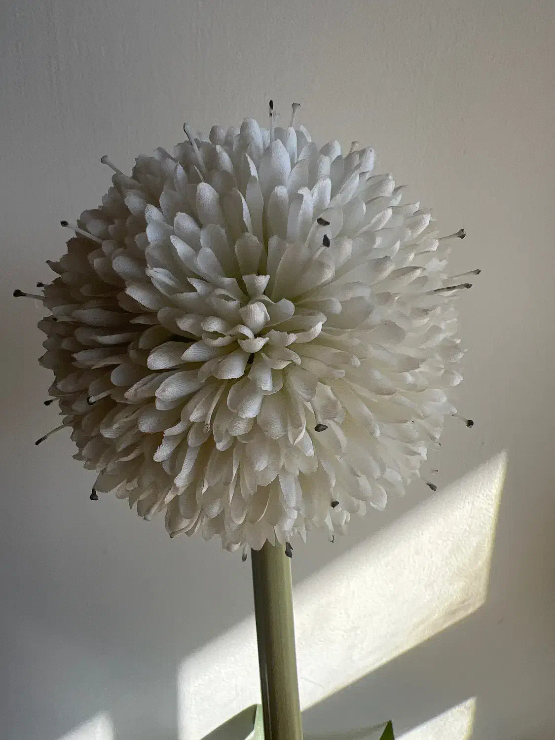 کار در منزل|استخدام سرایداری و نظافت|خرمآباد, |دیوار