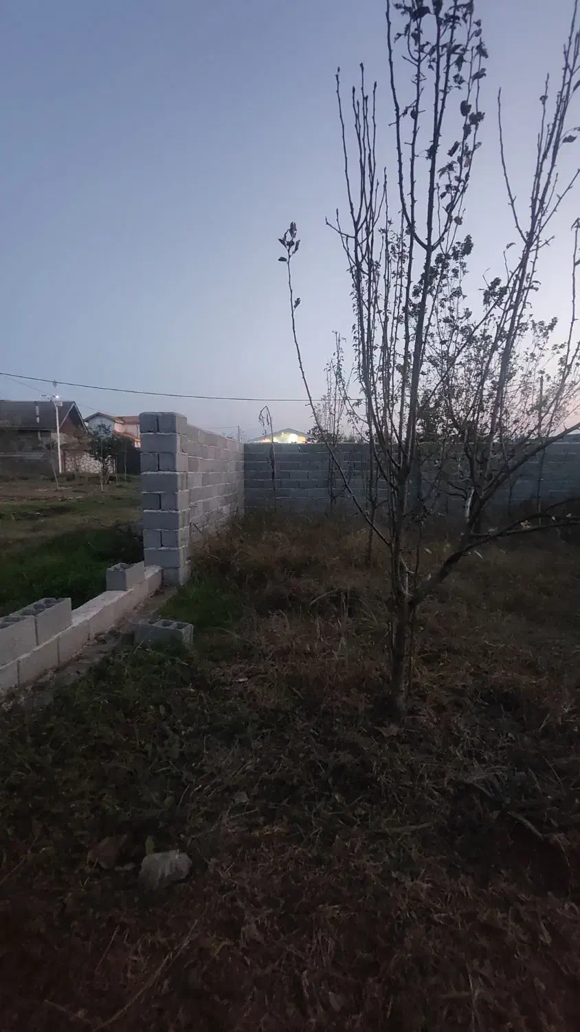 فروش زمین مسکونی مناسب ویلا سازی|فروش زمین و ملک کلنگی|چاف و چمخاله, |دیوار