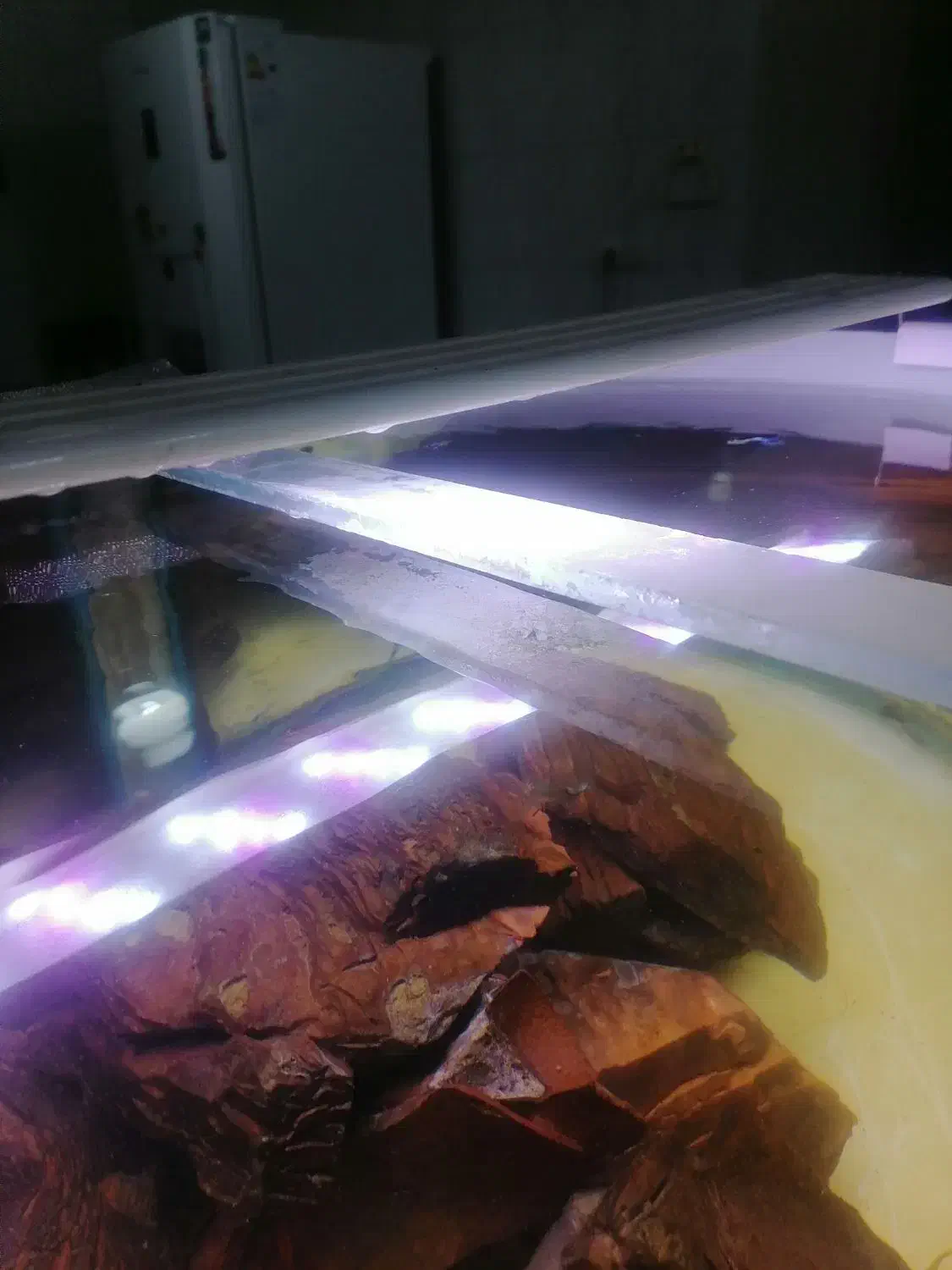 آکواریوم شیشه خم حلال|ماهی|شیراز, شیشهگری|دیوار