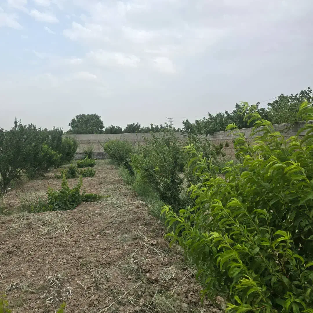 فروش و تهاتر زمین ۸۰۰۰ متری در یوسف اباد صیرفی|فروش زمین و ملک کلنگی|شهریار, یوسف آباد صیرفی|دیوار