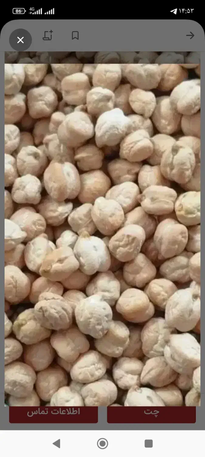 نخودبهاره|خوردنی و آشامیدنی|ثلاث باباجانی, |دیوار