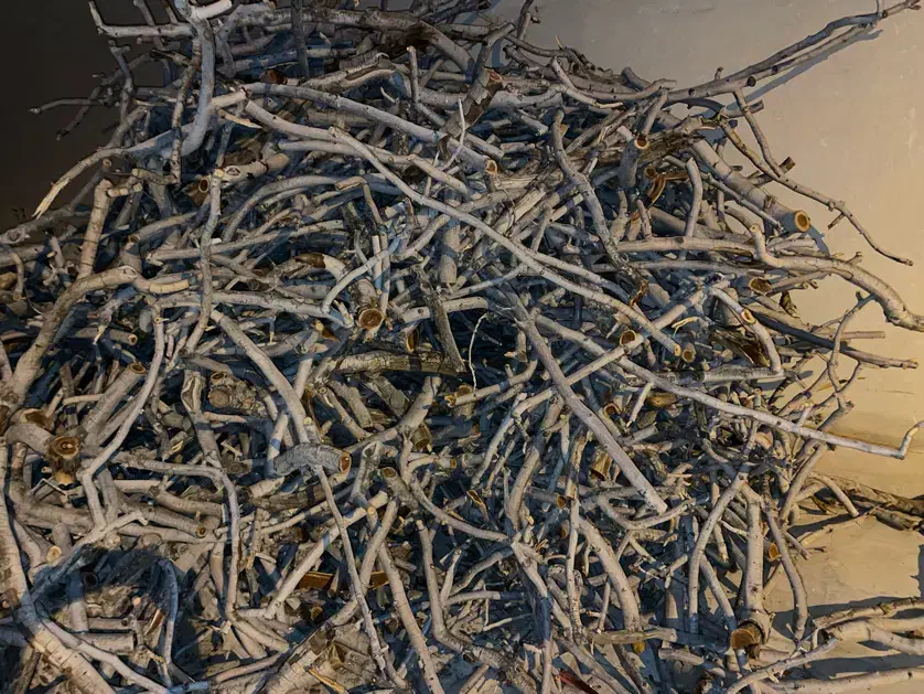 چوب پسته|خدمات باغبانی و درختکاری|چترود, |دیوار