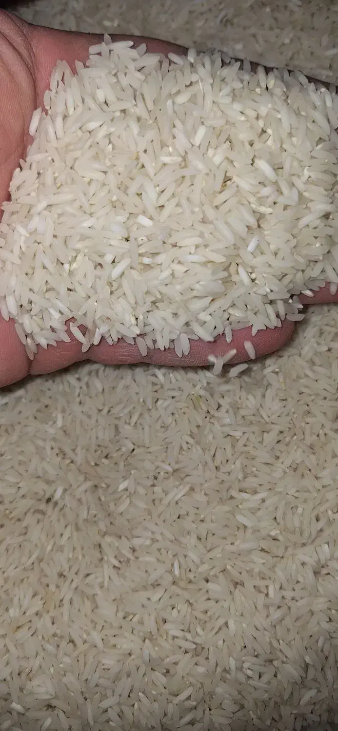 ۱۴۰ کیلو برنج جمشید گیلان. خوش پخت|خوردنی و آشامیدنی|آستانه اشرفیه, |دیوار