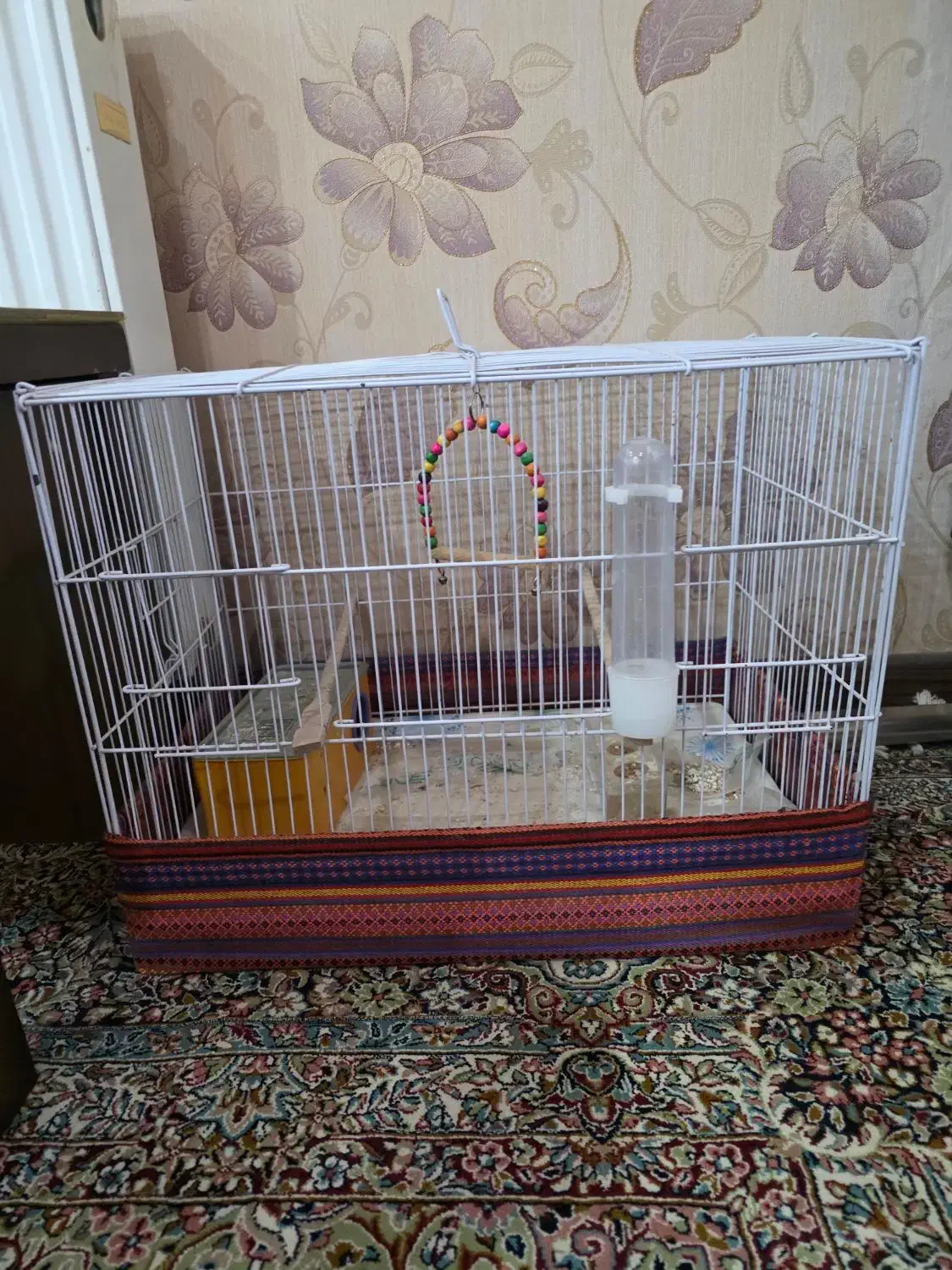 قفس پرنده|لوازم جانبی حیوانات|کرمان, |دیوار