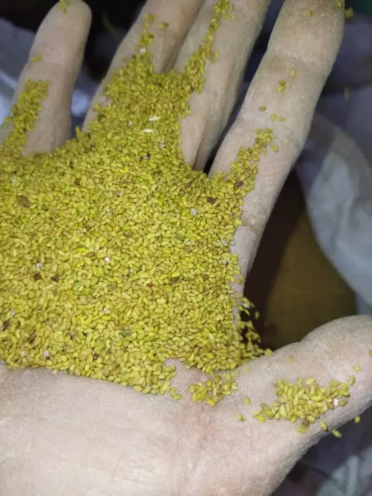 بذر یونجه|گل و گیاه طبیعی|خسروشاه, |دیوار