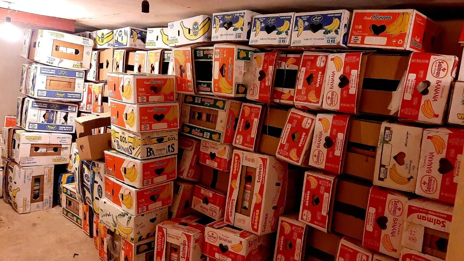 فروش تعداد بالا کارتن موز سالم|ابزارآلات|نهاوند, |دیوار