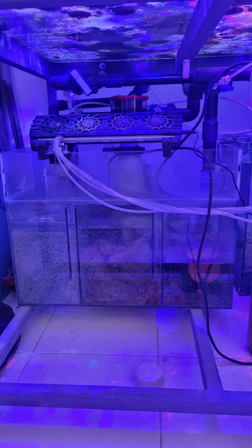 آکواریوم فارم مرجانی|ماهی|شیراز, صنایع الکترونیک|دیوار