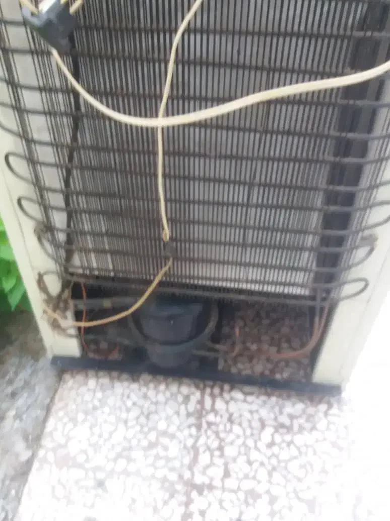 یخچال تمام فریزر شش کشو|یخچال و فریزر|رشت, دیانتی|دیوار