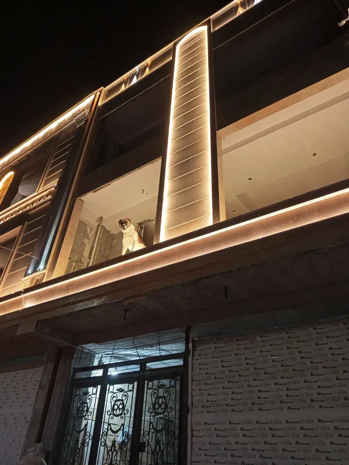 سگ گمشده|حیوانات|شیروان (خراسان), |دیوار