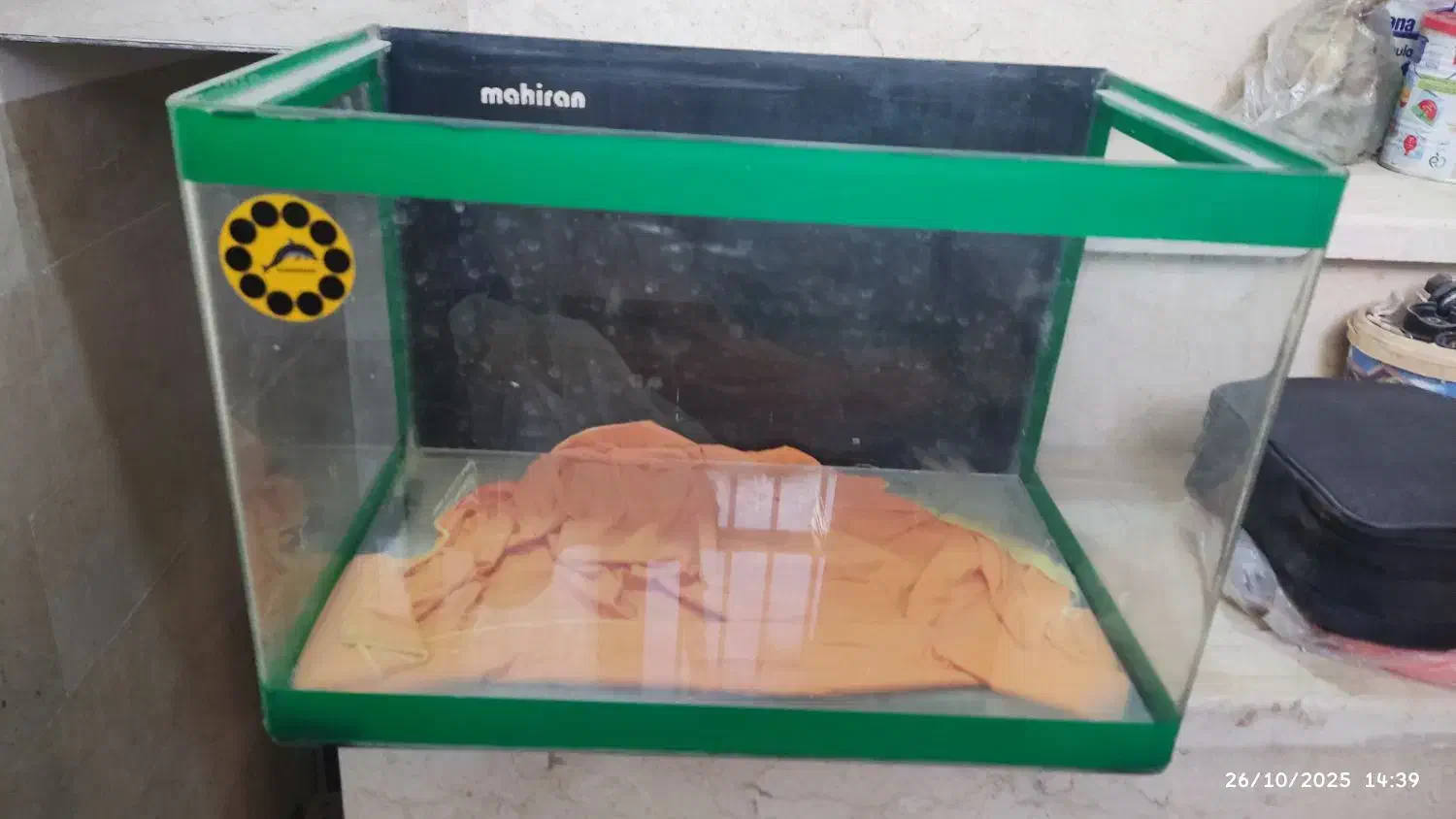 آکواریوم شیشه خم ماهیران|ماهی|تهران, حشمتیه|دیوار