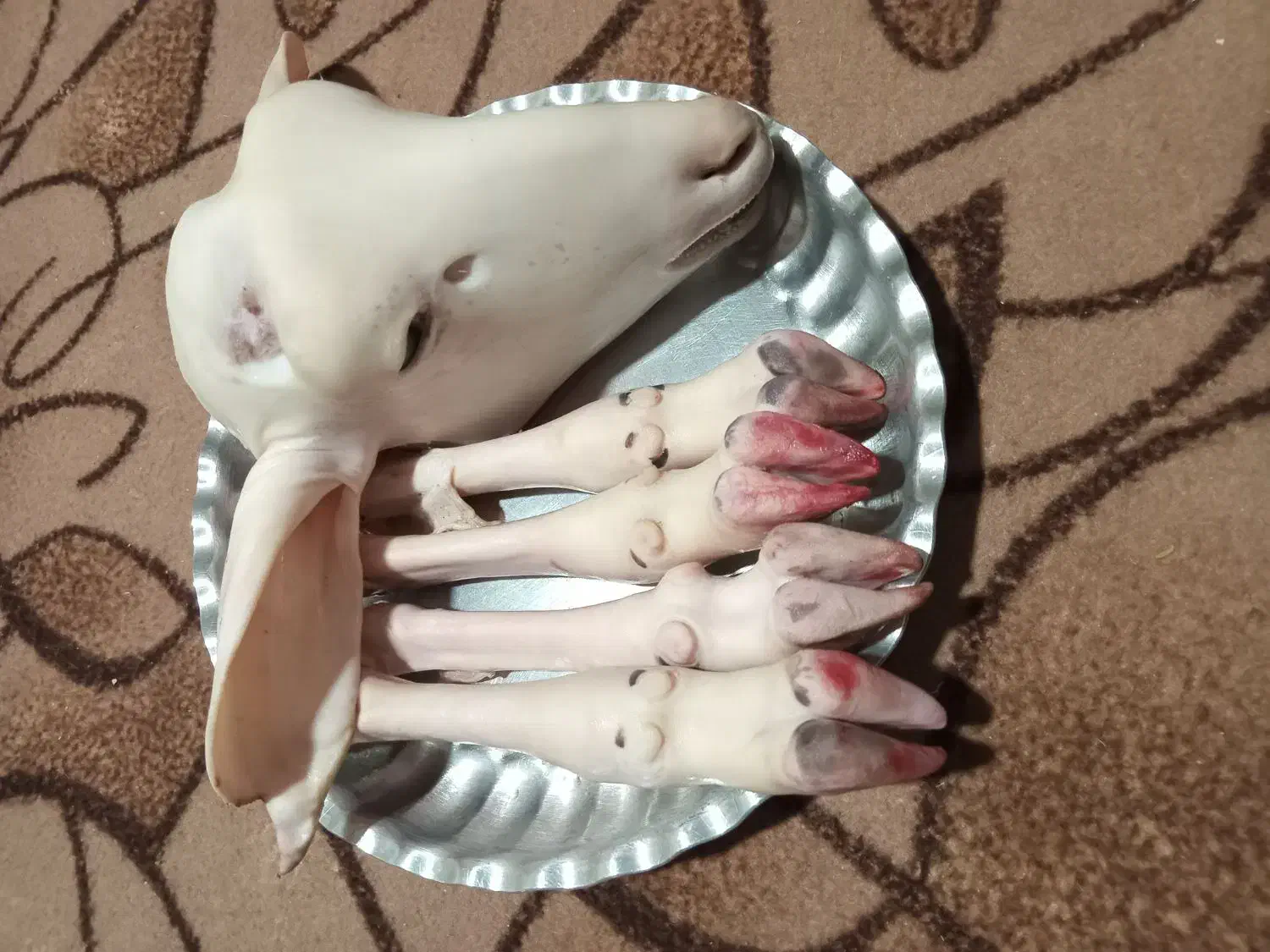 جیگر وکله پاچه|خوردنی و آشامیدنی|شیروان (خراسان), |دیوار