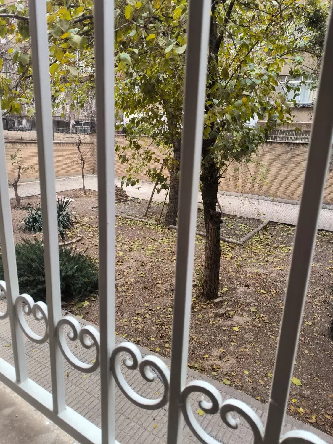 آپارتمان فلکه اول ۱۰۰ متر دو خواب طبقه اول