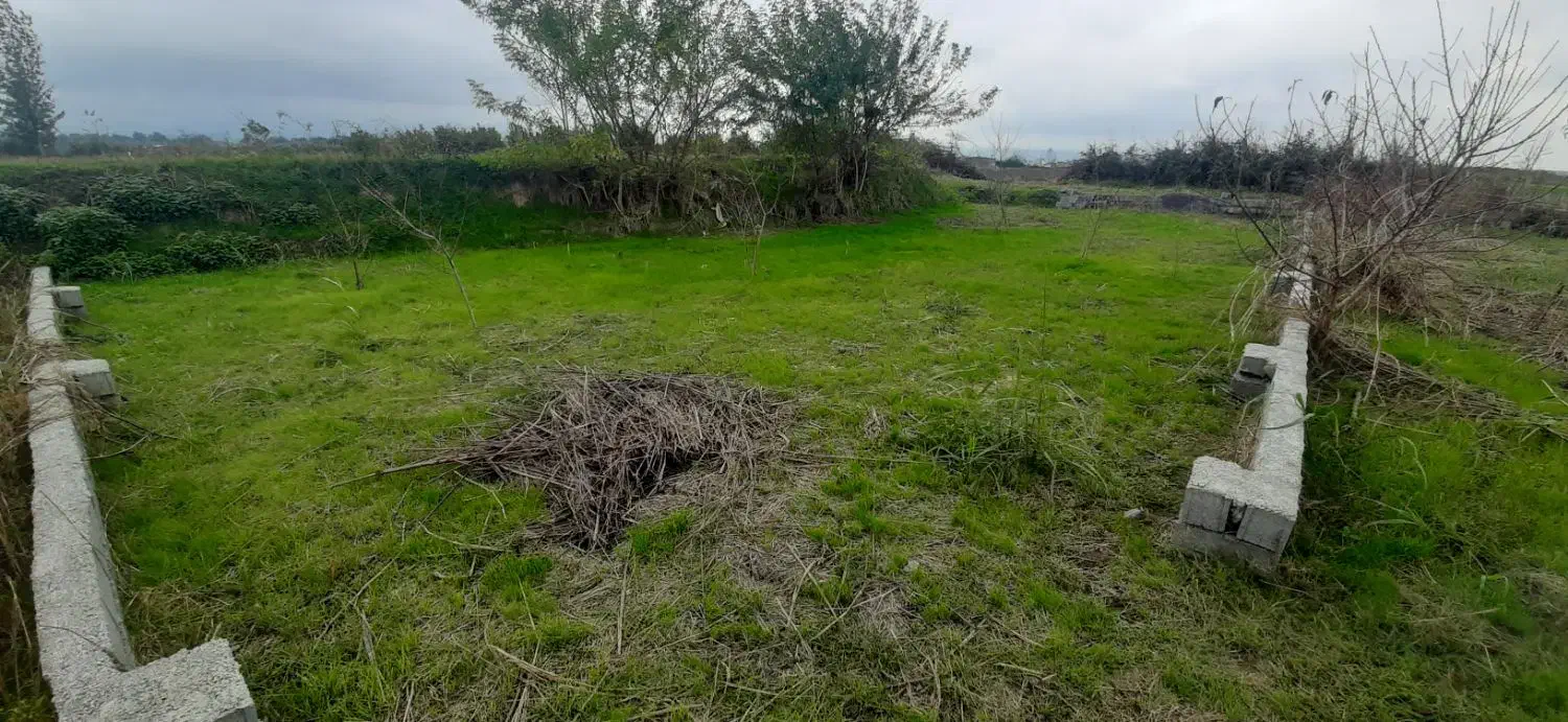 فروش ملک باغی زیرقیمت|فروش زمین و ملک کلنگی|آمل, |دیوار