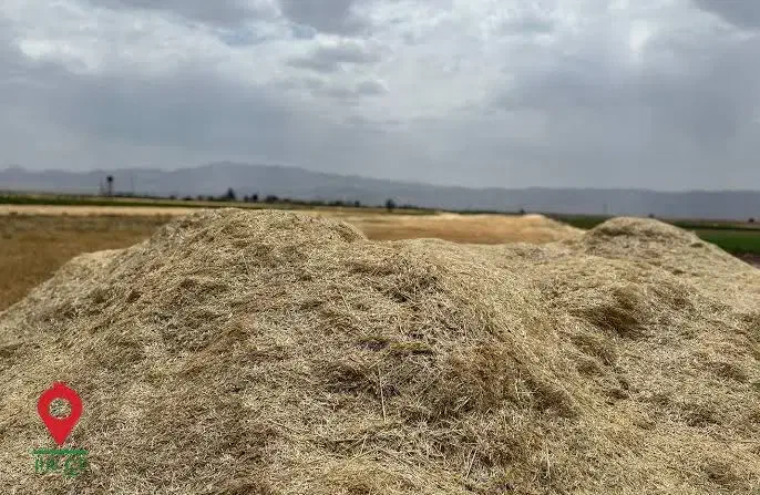 کاه|حیوانات مزرعه|زند, |دیوار