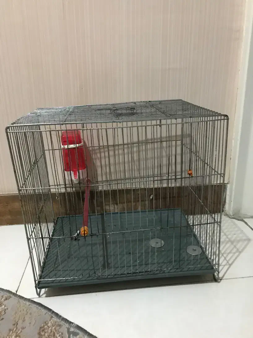 قفس پرنده های خونگی سالم با جای دون خوری و جای اب|لوازم جانبی حیوانات|کرج, گلشهر|دیوار