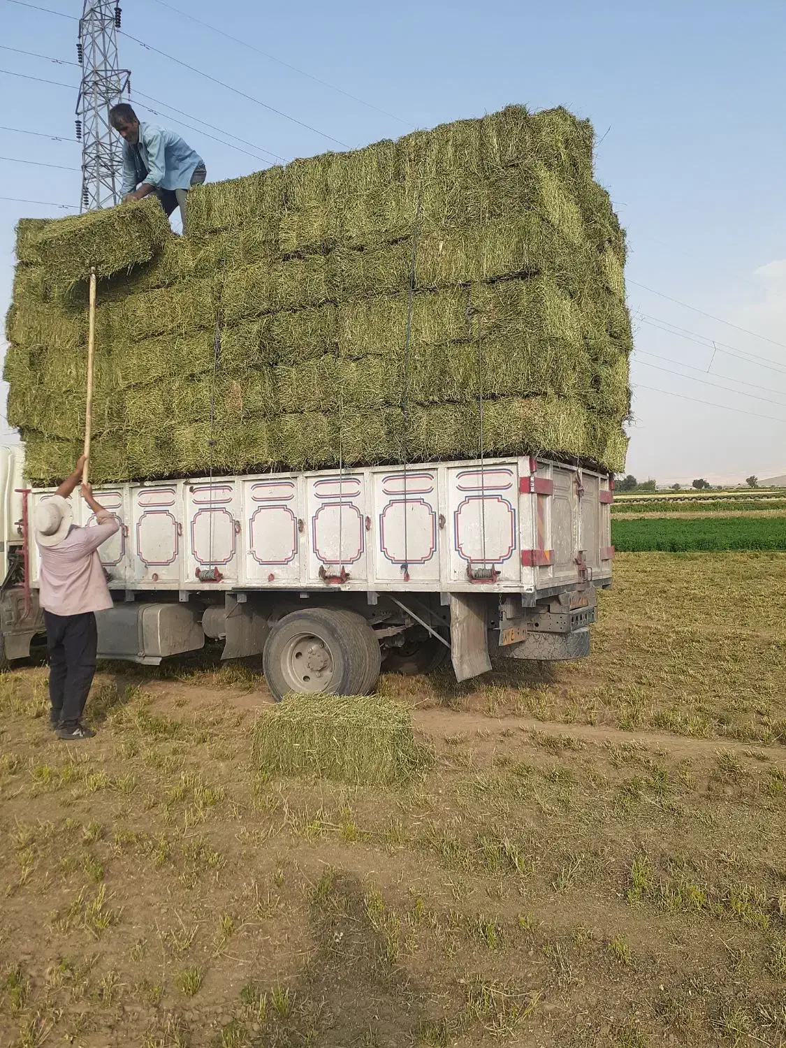 پرس یونجه چین ۴سنگین بدون علف با اب چاه .|حیوانات مزرعه|بروجرد, |دیوار