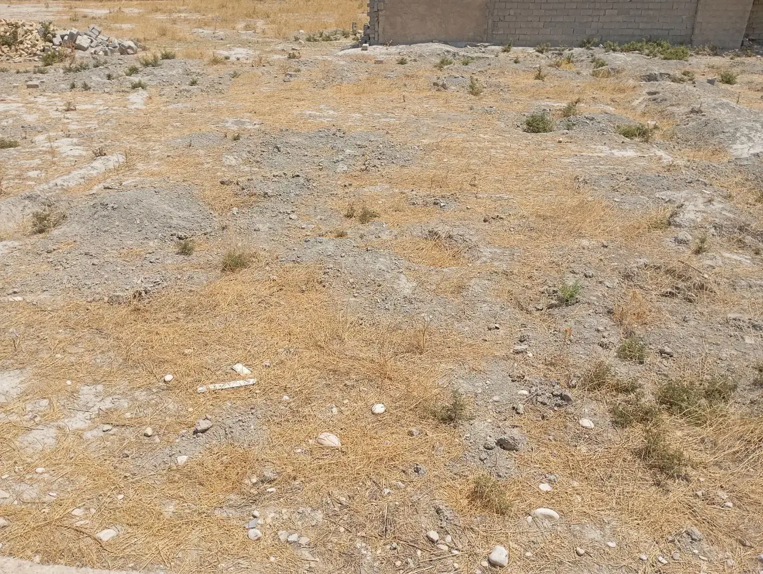 فروش زمین درب حیاط سرمیدان ک 36|فروش زمین و ملک کلنگی|فیروزآباد (فارس), |دیوار