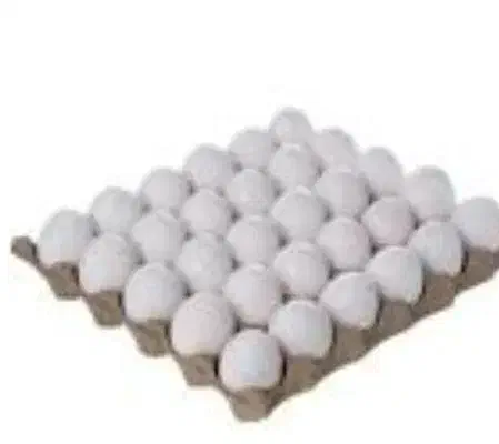 تخم مرغ|خوردنی و آشامیدنی|جهرم, |دیوار