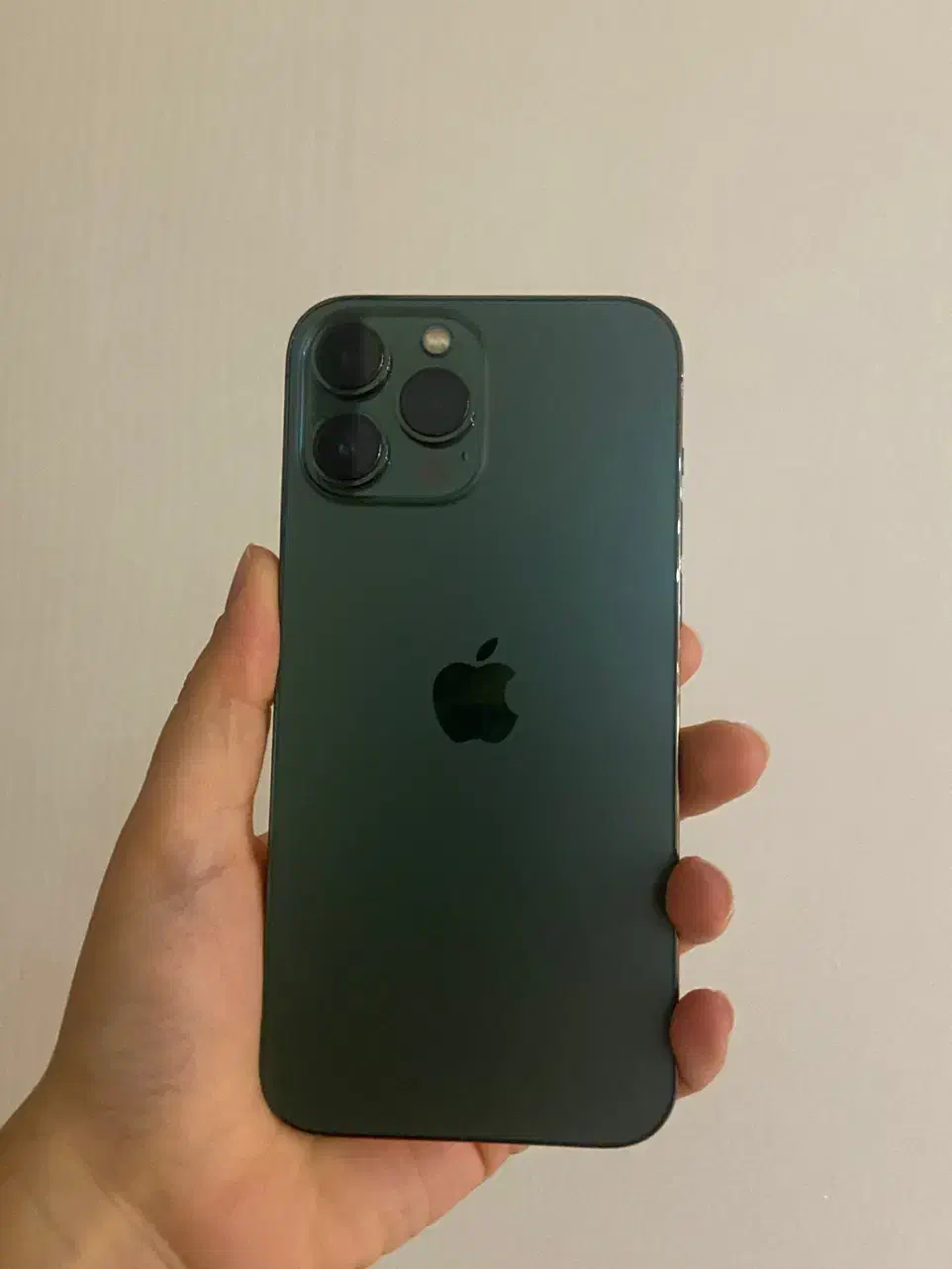 ۱۳ پرومکس آیفون 13pro max|موبایل|رشت, پاستوریزه|دیوار