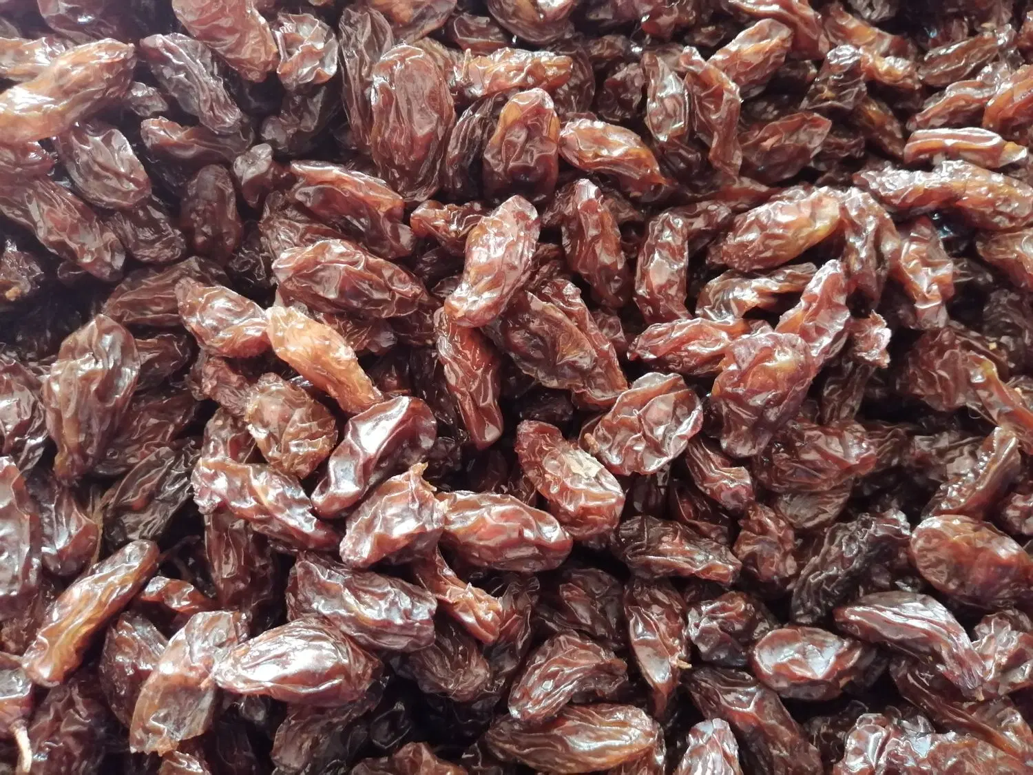کشمش|خوردنی و آشامیدنی|زنجان, |دیوار