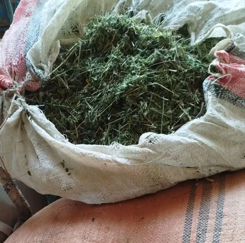 ۷۰۰ کیلو یونجه(۵۰۰کیلو گل و چوب و ۲۰۰ کیلو گل)|لوازم جانبی حیوانات|ملایر, |دیوار