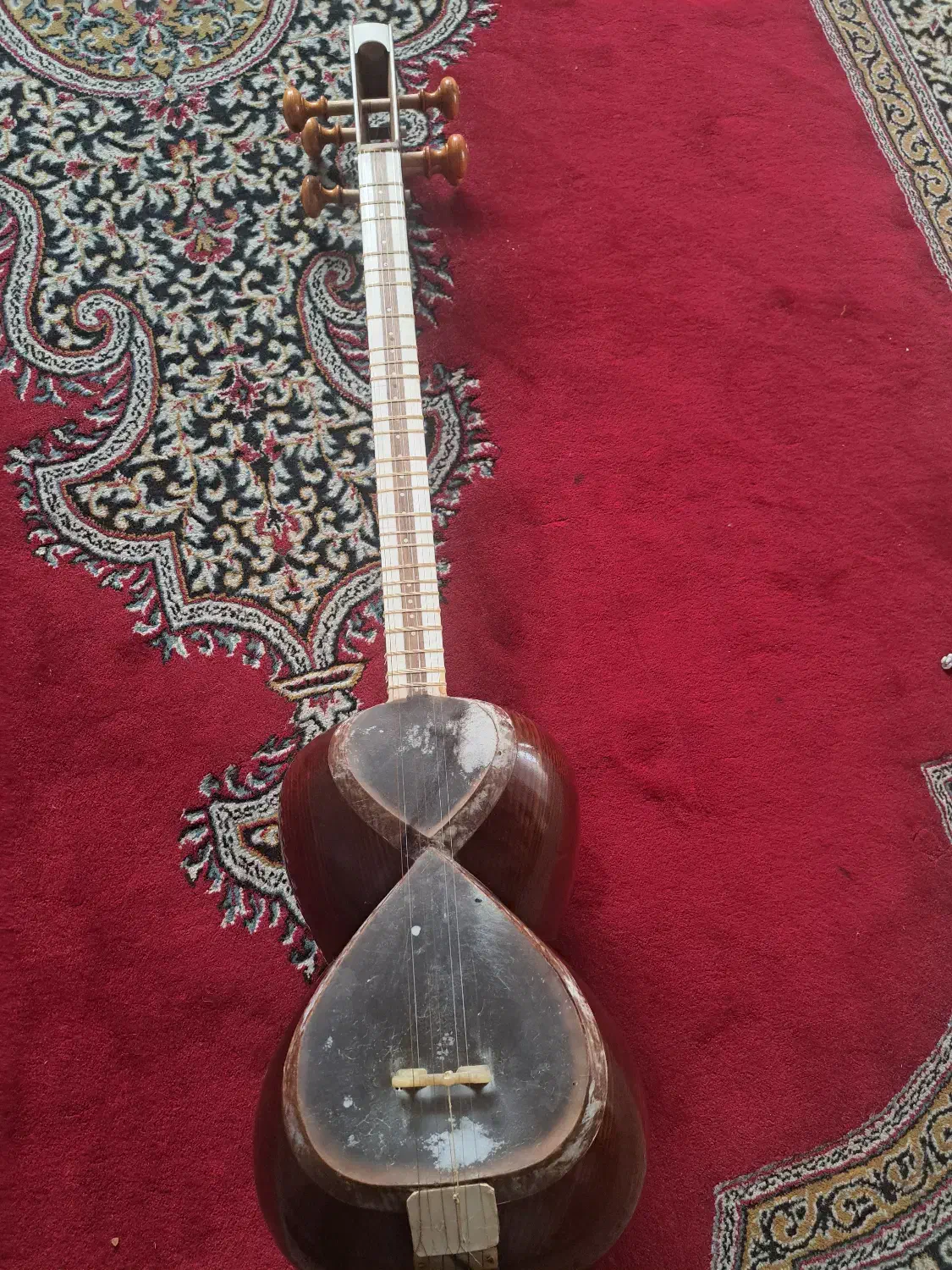 ساز تار مهر خورشید|سازهای سنتی|شیراز, رکن‌آباد|دیوار