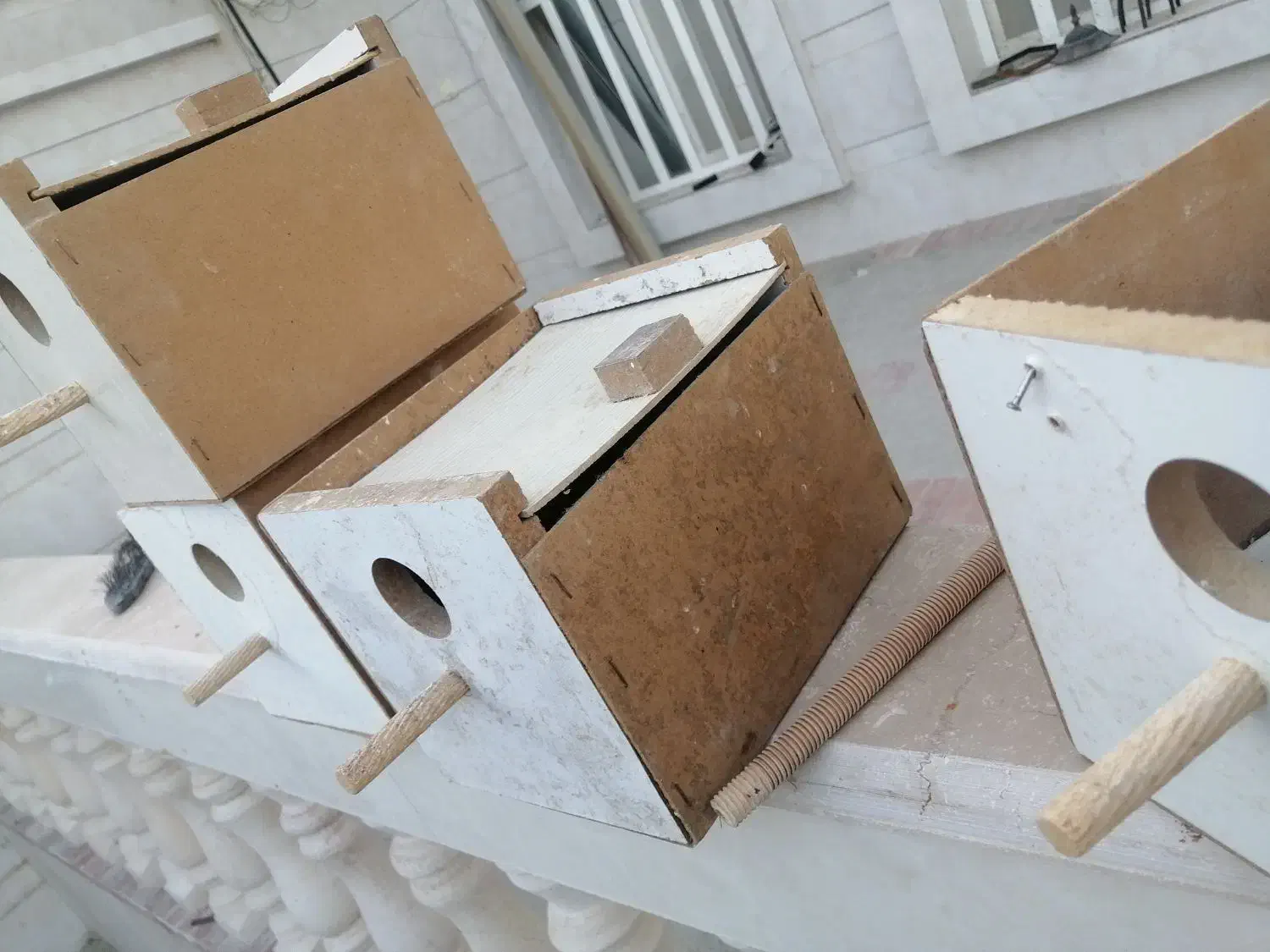 لانه طوطی برزیلی، گرینچینگ، لونه کوتوله، فنچ و|لوازم جانبی حیوانات|کوار, |دیوار