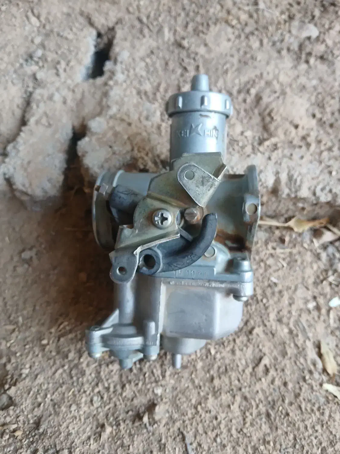 تندیس فروشی هس|مجسمه، تندیس، ماکت|خواف, |دیوار