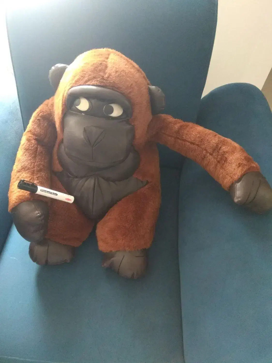 اسباب بازی و غیره|اسباببازی|شیراز, ماه فیروزان|دیوار