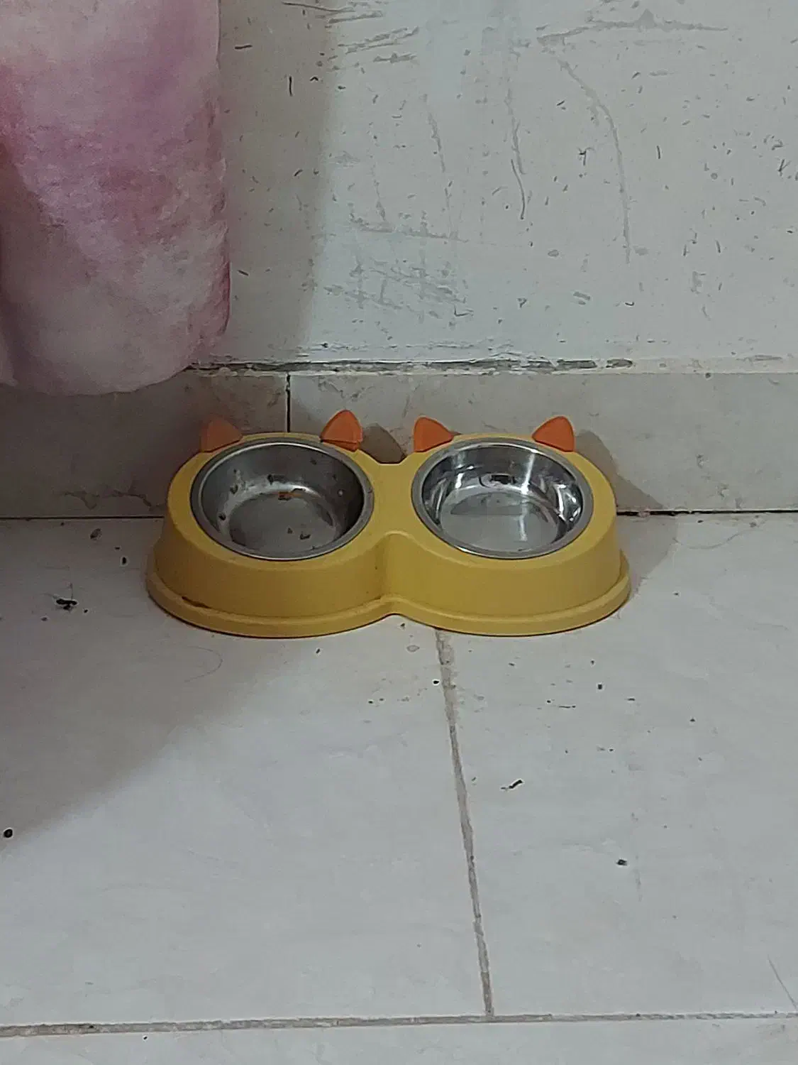 لوازم پت|لوازم جانبی حیوانات|دلیجان, |دیوار