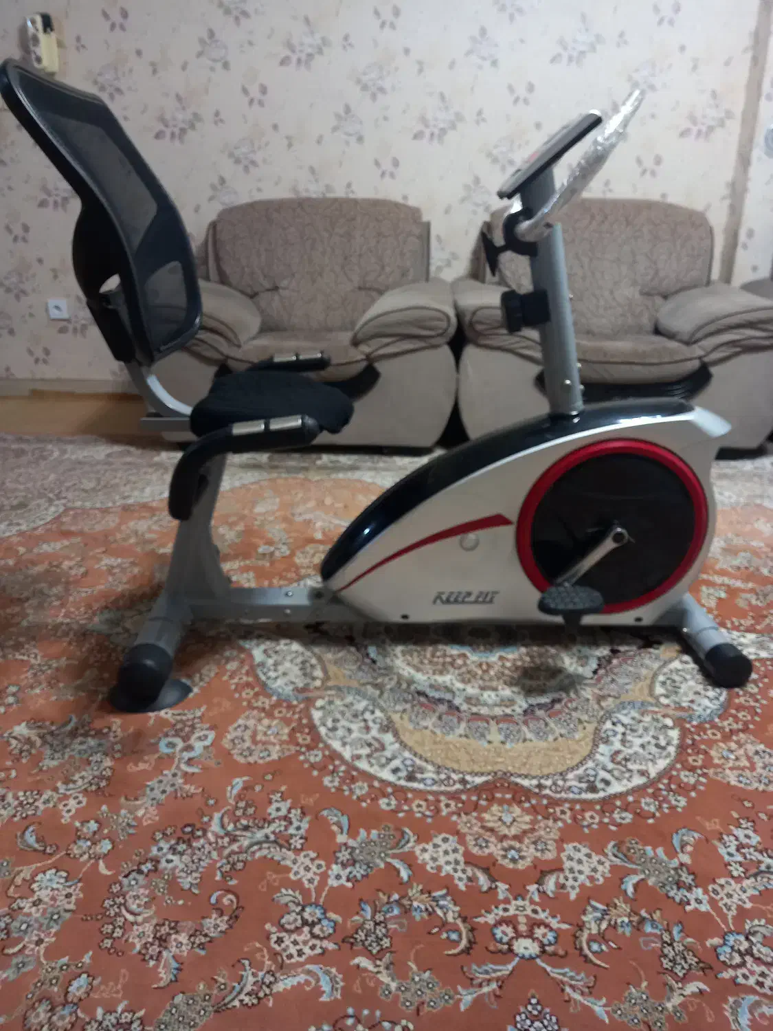 دوچرخه ثابت کیپ فیت نقره ای دست دوم|تجهیزات ورزشی|قم, پردیسان|دیوار