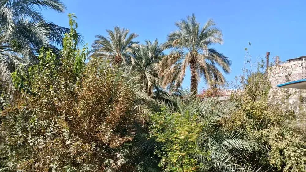 فروش خانه ویلایی نبش خیابان|فروش خانه و ویلا|بم, |دیوار