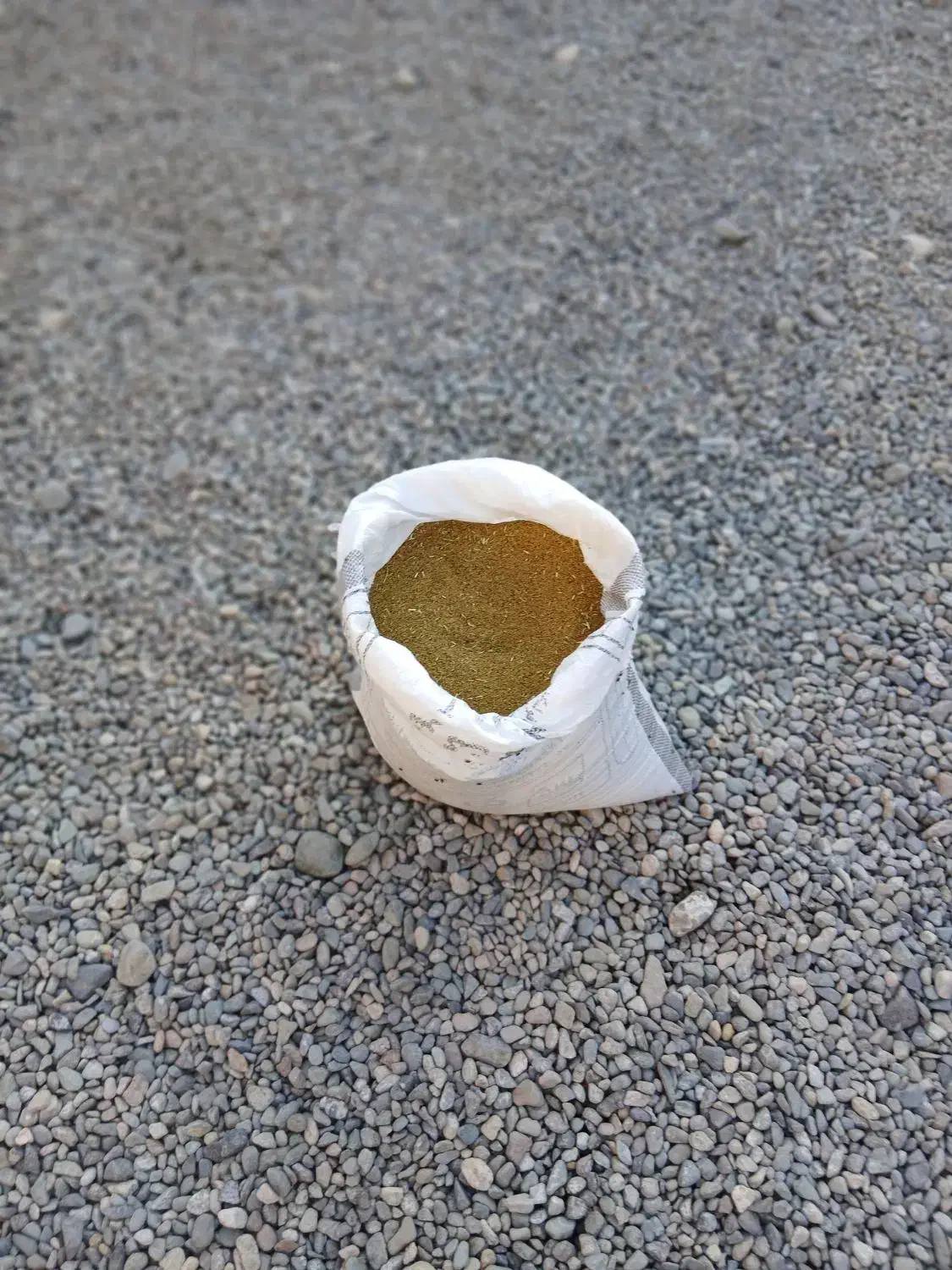 بذر یونجه محلی تضمینی|خدمات باغبانی و درختکاری|جیرفت, |دیوار