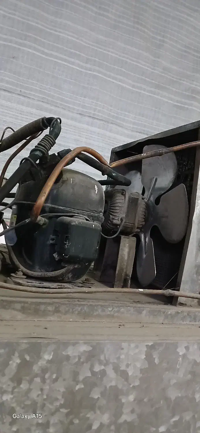 سالم . یخچال ۶ در|فروشگاه و مغازه|کرمان, |دیوار