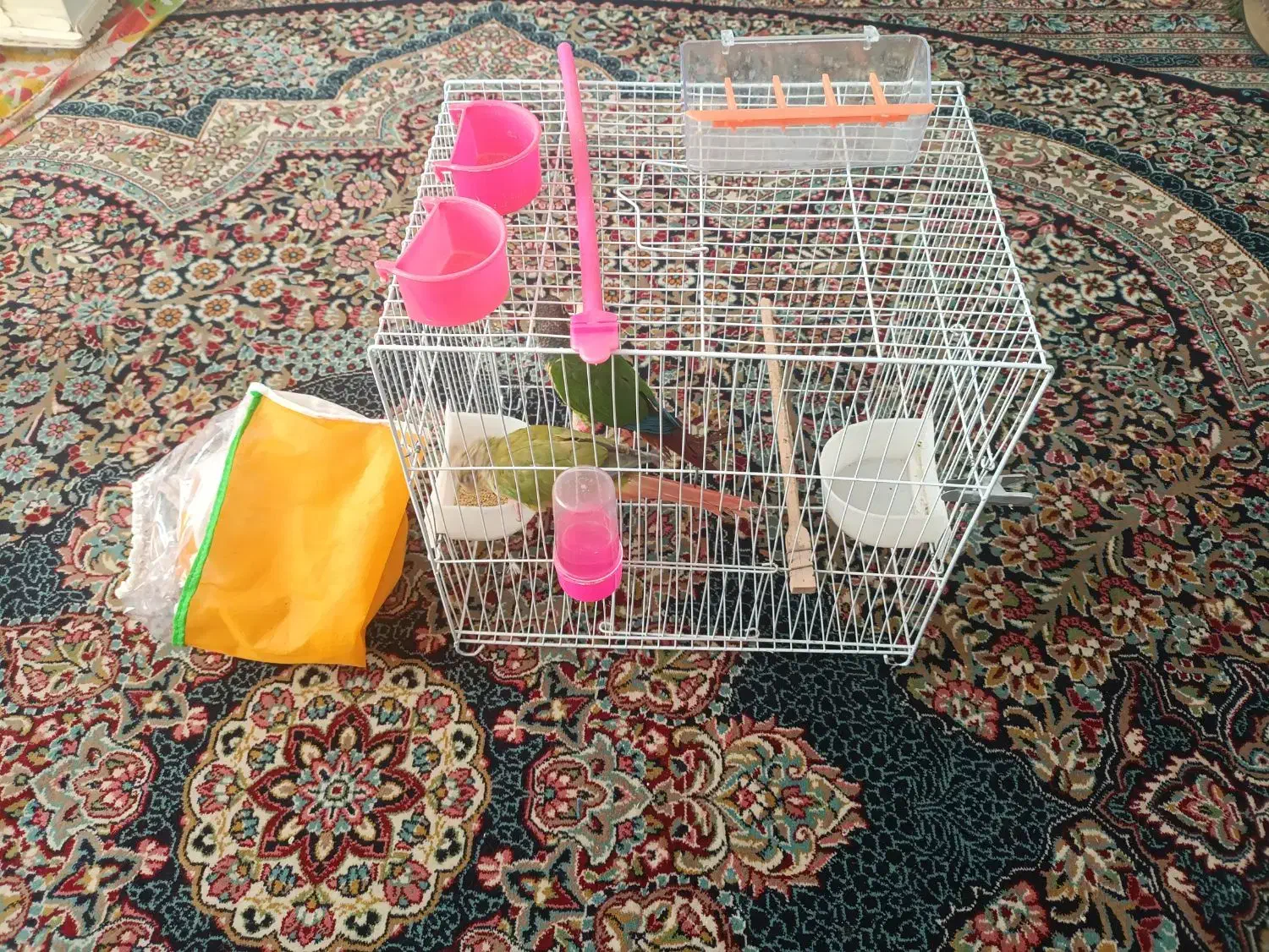 لانه|لوازم جانبی حیوانات|مشهد, انقلاب|دیوار